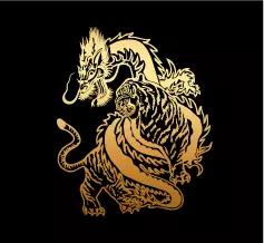 All bet Dragon tiger